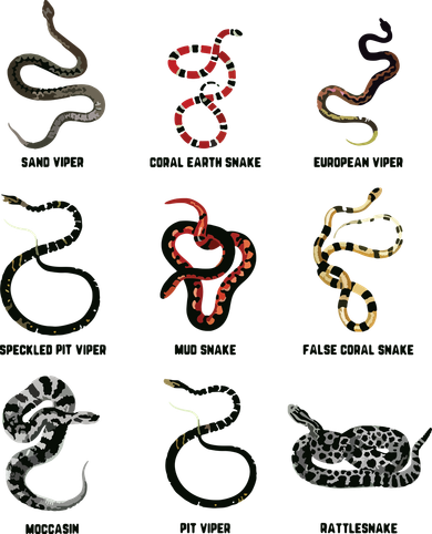 9 Snakes Snake Lover Men Snake Snake Doggie Tank