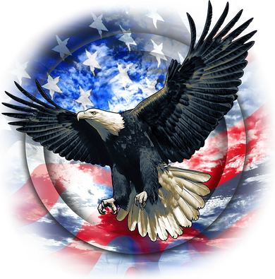 Forever Free United States Eagle Women's Long Sleeve Shirt