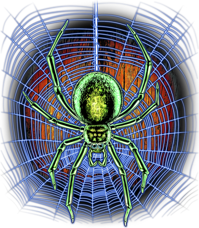 Halloween Spiderweb Creepy Spider Women's Tank Top