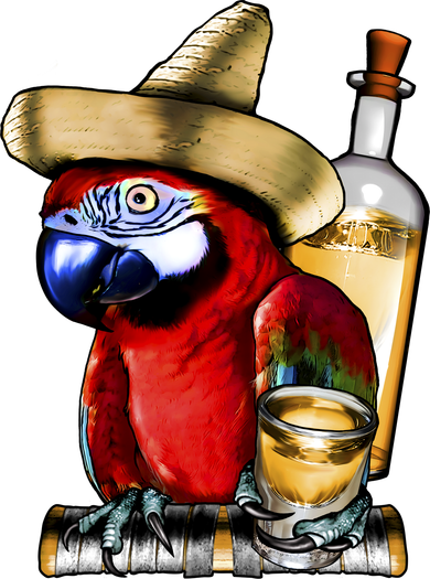 Tequilla Parrot Kids Hoodie
