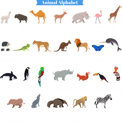 Animal Alphabet Coaster