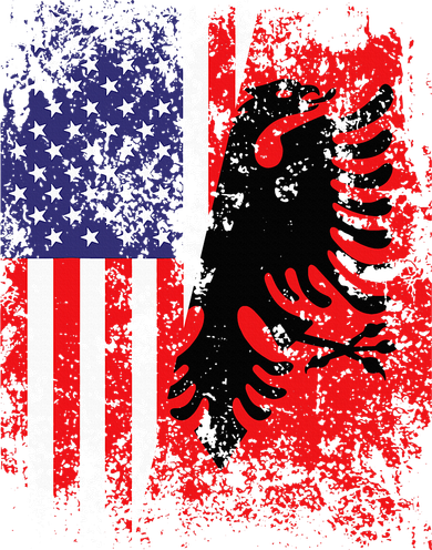 Albanian American Flag Patriotic USA Albania Flag Doddie Hoodie