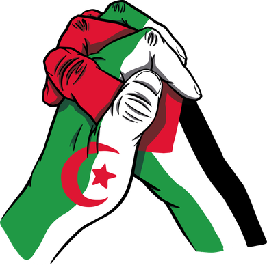 Algeria And Palestine Hands Coaster