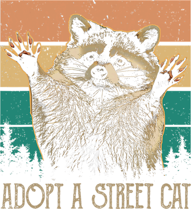Adopt A S.T.R.E.E.T Cat Classic Arts Possum Raccoons Lover Animal Kids Hoodie