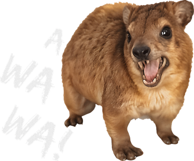 Awawa! Angry Screaming Hyrax Tank Top