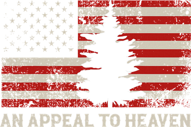 An Appeal To Heaven Pine Tree Usa Revolution American Flag Toddler Hoodie