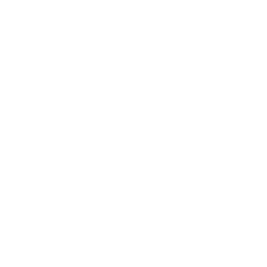 Ancient Alien Theorist Coffee Mug