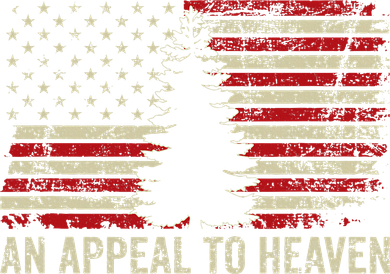 An Appeal To Heaven Usa Revolution Pine Tree American Flag Toddler Long Sleeve