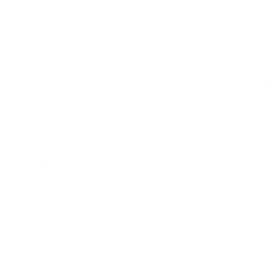 Zodiac Aries Ram Horns Face Beanie