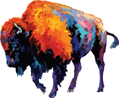 American Buffalo Buffalo American Bison Kids Sweatshirt