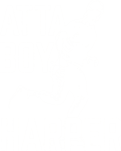Atta Boy Harper Trending Atta Boy Harper Toddler Hoodie