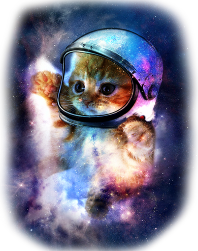 Astronaut Cat In Space Santa Hat