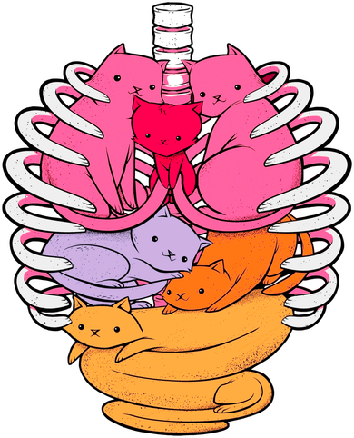 Aanatomicat Cat Chest Skeleton Coaster