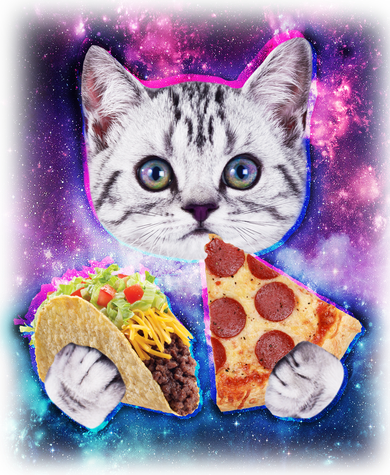 Space Cat Pizza And Tacos Hat