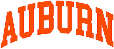 Auburn City Throwback Design Classic Kids T-Shirt
