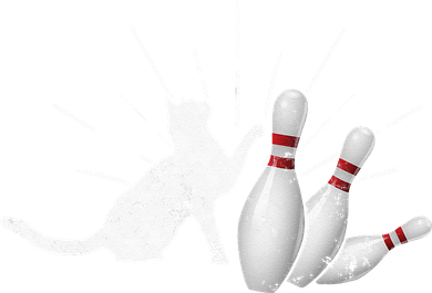Alley Cat Tipping Pins Funny Bowling Women's Sweatshirt
