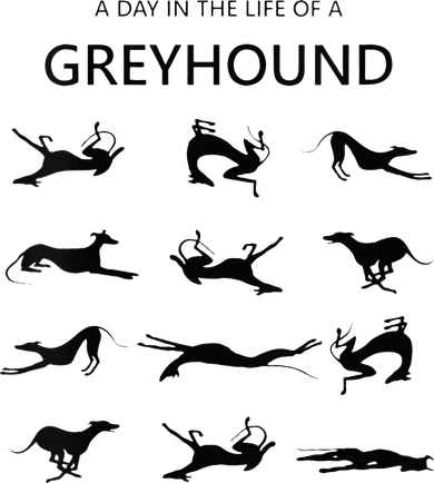 A Day In The Life Of A Greyhound Toddler Sweatshirt