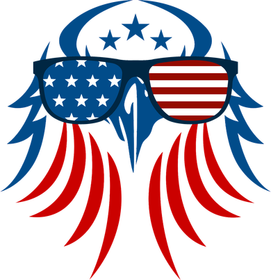 Patriotic American Bald Eagle Women's T-Shirt