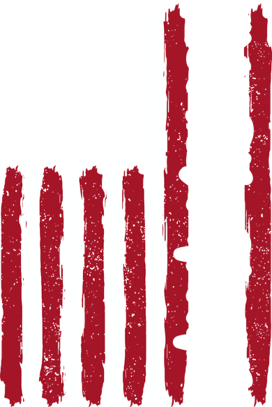 American Flag 1776 We The People Founding Fathers Constitution Hoodie