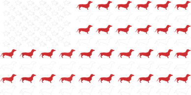 American Flag Dachshund Patriotic Gift Funny Dachshund Doxie Lover Gift Long Sleeve Shirt