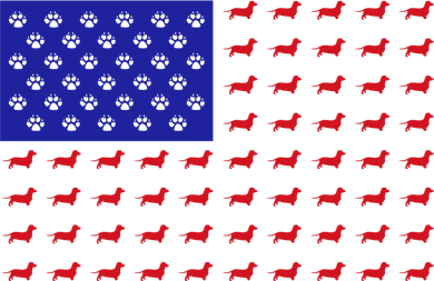 American Flag Dachshund Dog Women's Long Sleeve Shirt
