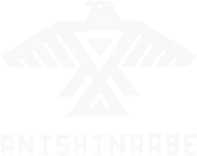 Anishinaabe First Nations Thunderbird Ojibwe Indigenous Women's Long Sleeve Shirt