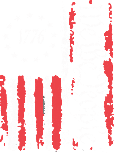 American Flag Patriotic 1776 We The People Usa Beanie