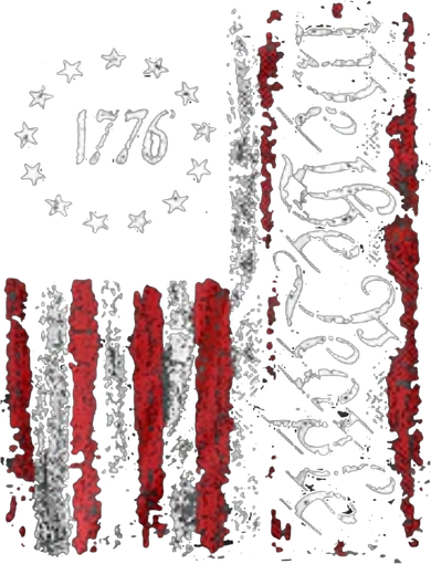 American Flag Patriotic 1776 We The People USA Beanie