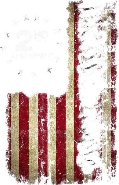 American Flag Patriotic We The People 2nd Amendment Kids Hoodie