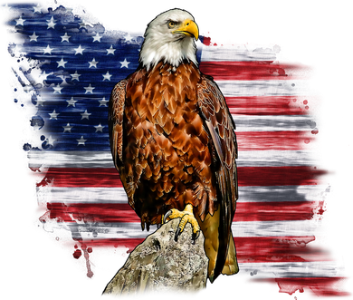 American Flag Patriotic Eagle Vintage Tank Top