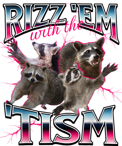 Autism Funny Rizz Em With The Tism Meme Autistic Racoon Women's Sweatshirt