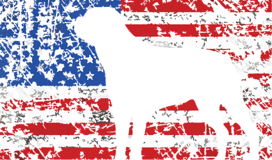 American Flag Rottweiler Dog 4th Of July USA Gift Kids Hoodie