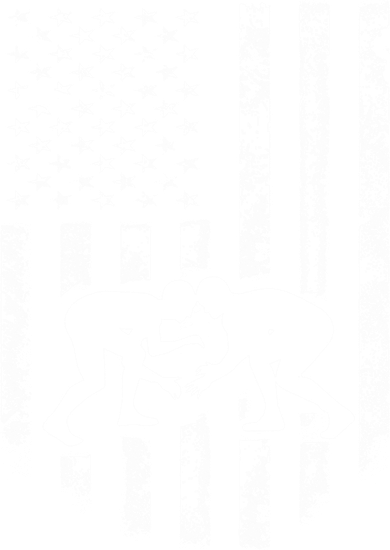 American Flag Wrestling Meaningful Gift Distressed Wrestle Gift Tee Women's Tank Top