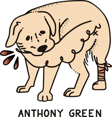 Anthony Green Numb Doddie Hoodie
