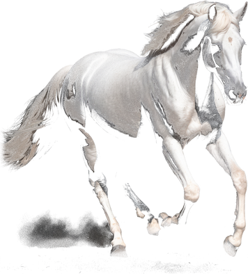 Arabian Horse Tank Top