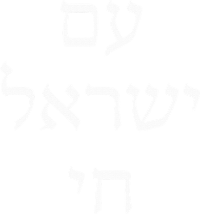 Am Israel Chai Jewish Pride Support Israel Hebrew Jerusalem  Toddler Long Sleeve