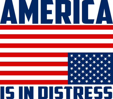 America Is In Distress Upside Down Flag Kids Long Sleeve Shirt