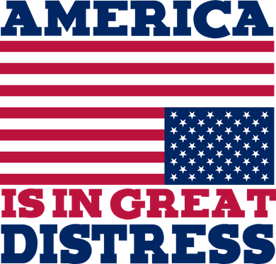 America Is In Great Distress Upside Down Flag Kids Long Sleeve Shirt