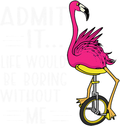 Admit It Life Would Be Boring Without Me Funny Bike Flamingo Sweatshirt