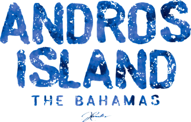Andros Island The Bahamas Long Sleeve Shirt
