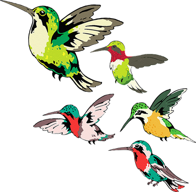 Animal Lover Birdwatching Beautiful Bird Hummingbird Doggie Tank