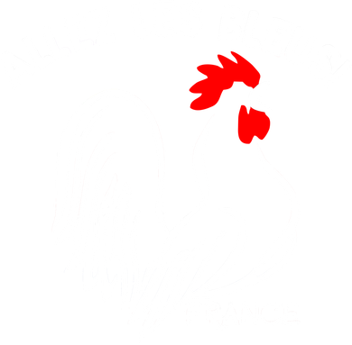 France Soccer Allez Les Bleus World T-Shirt
