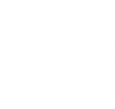 Adirondack Mountains 46 High Peaks Toddler T-Shirt