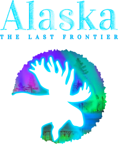 Alaska Moose Aurora Borealis The Last Frontier Funny Gift Women's Hoodie