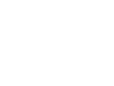 Airplane Mode Beanie