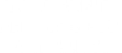 All My Friends Are On Federal Watch Lists Funny Quote Women's T-Shirt