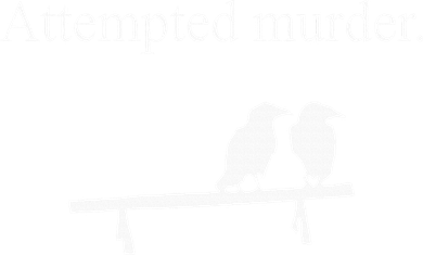Attempted Murder Funny Sarcasm Crows Ornithology Ornament