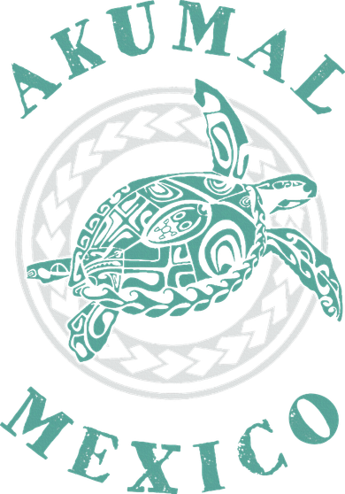 Akumal Mexico Tribal Tattoo Sea Turtle Toddler T-Shirt