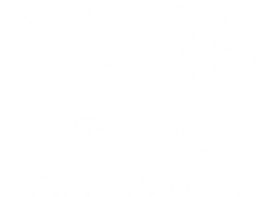 Avon North Carolina Nc Vintage Athletic Sports Women's Long Sleeve Shirt