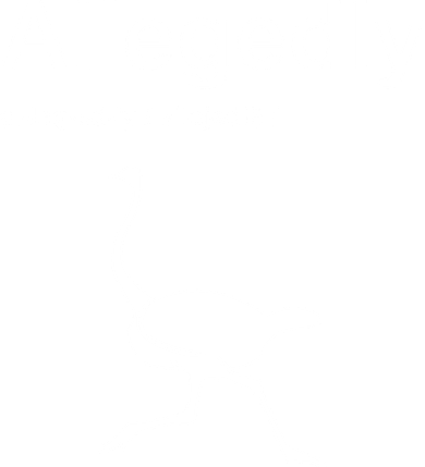 Allegedly Ostrich Funny Coaster